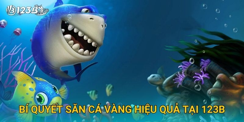 Bí quyết săn cá vàng hiệu quả tại 123B