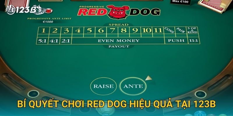 Red Dog 123B – Game Bài Kinh Điển Dành Cho Người Thích Thử Thách 3 Bí quyết chơi Red Dog hiệu quả tại 123B